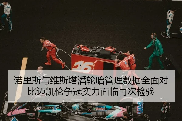 诺里斯与维斯塔潘轮胎管理数据全面对比迈凯伦争冠实力面临再次检验